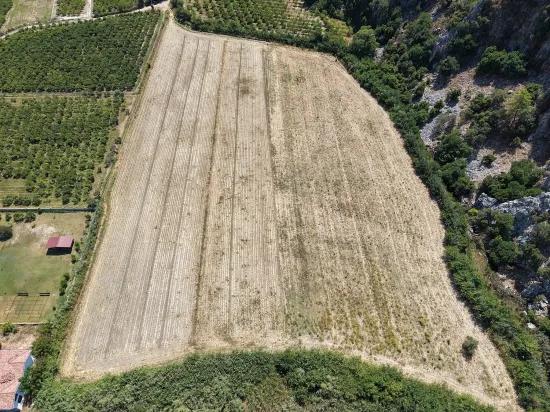 In Dalyan, a 20.786m2 field for sale