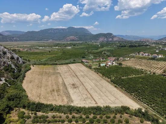 In Dalyan, a 20.786m2 field for sale