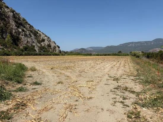 In Dalyan, a 20.786m2 field for sale