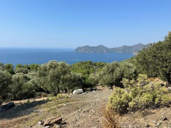 Field with sea view, 21.000 m2, 2b, for sale In Çandır