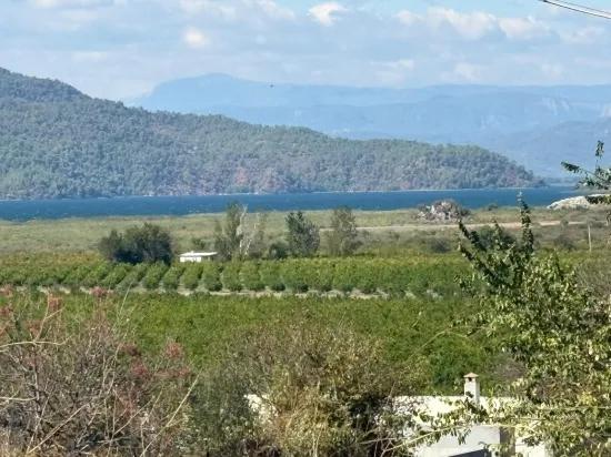 Field for sale, 5.000m2, with lake view In Dalyan, Karadağ