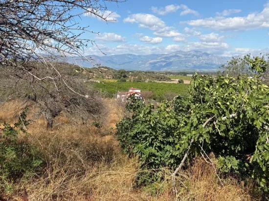 Field for sale, 5.000m2, with lake view In Dalyan, Karadağ