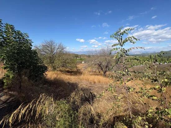 Field for sale, 5.000m2, with lake view In Dalyan, Karadağ