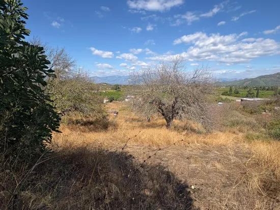 Field for sale, 5.000m2, with lake view In Dalyan, Karadağ