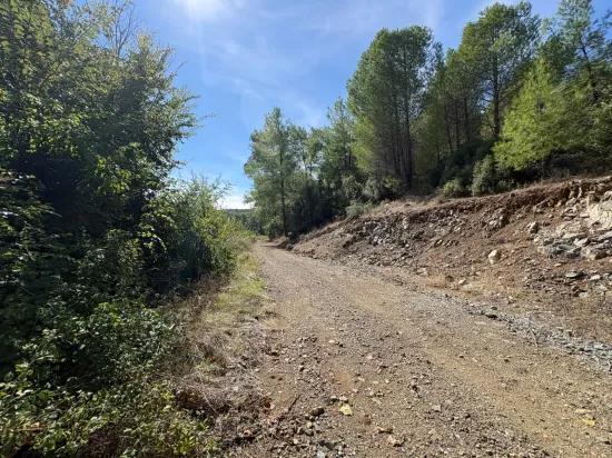 10.500 m2 field for sale In Köyceğiz Zeytinalanı
