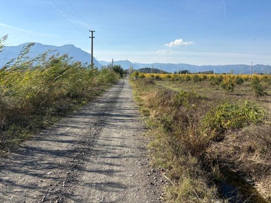 21500m2 Pomegranate Garden For Sale In Eskiköy