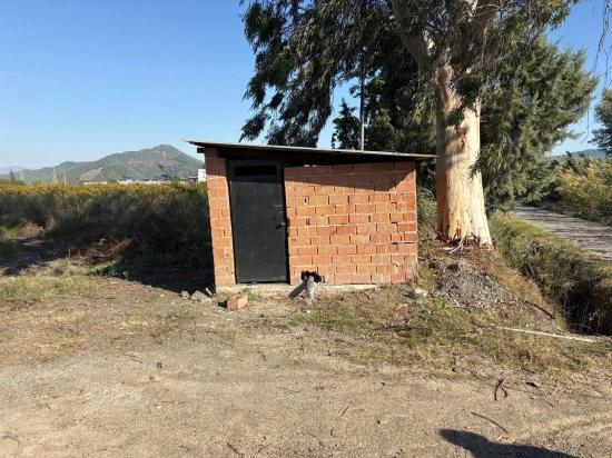 21500m2 Pomegranate Garden For Sale In Eskiköy
