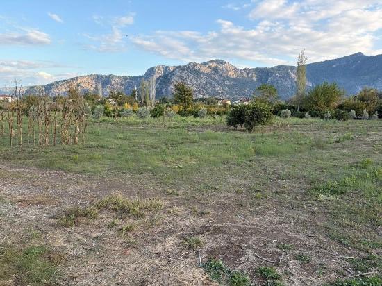 7,450 M² Plot Of Land For Sale In Dalyan With 5% Zoning.