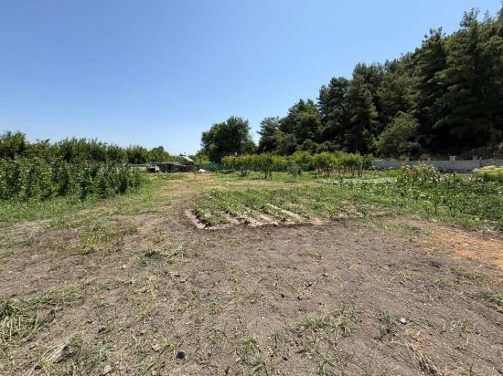 120m2 Detached Wooden House On A 2500m2 Field In Dalyan Karadağ Area