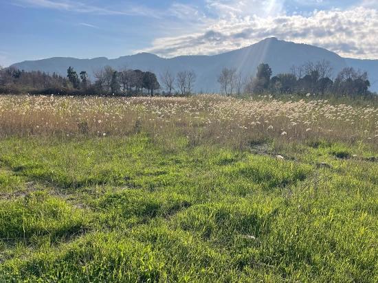 6800 M2 Plot Of Land For Sale In Dalyan With 5% Residential Zoning.