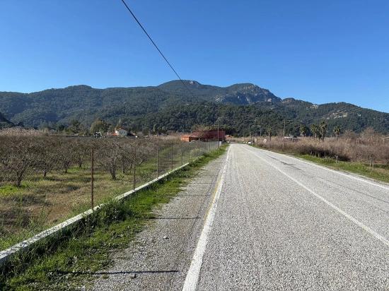 5985m2 Plot Of Land For Sale In Dalyan, Zoned For 5% Vineyard/orchard Use.
