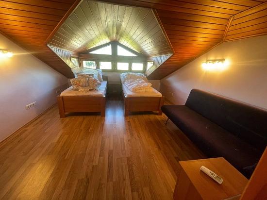 4+2 Villa For Sale On A 6000m2 Plot In Dalyan Gülpınar