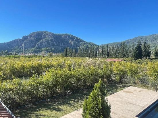 4+2 Villa For Sale On A 6000m2 Plot In Dalyan Gülpınar