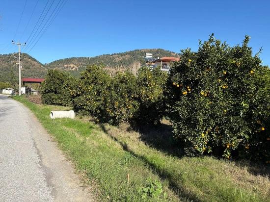 Land For Sale In Ekşiliyurt, With Zoning Permit, Within A 1085m2 Built-up Area.