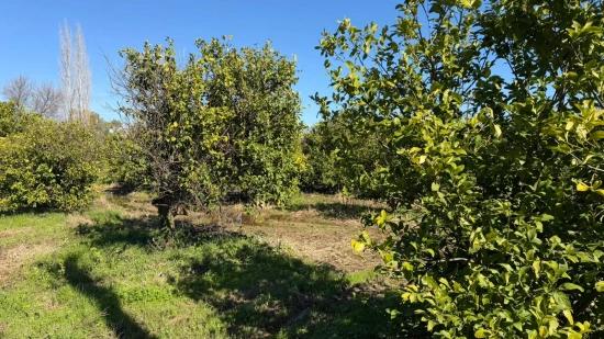 2.218m2 Land For Sale In Okçular Marmarlı