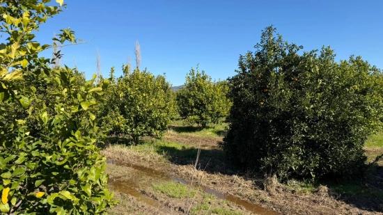 2.218m2 Land For Sale In Okçular Marmarlı