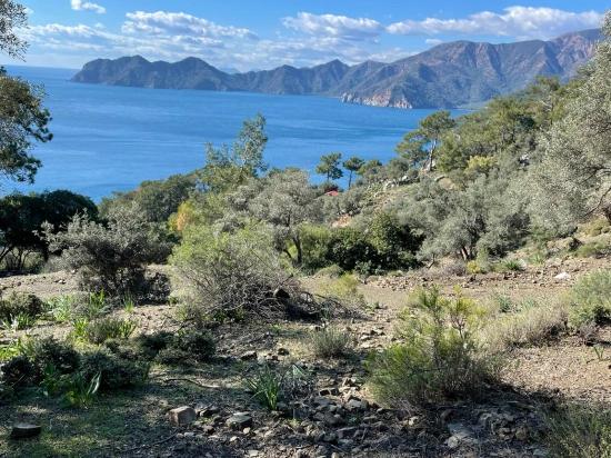 Çandır 20.000m2 2b For Sale With Full Sea View