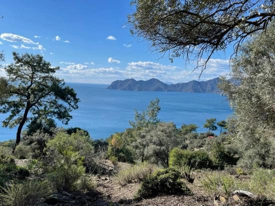 Çandır 20.000m2 2b For Sale With Full Sea View