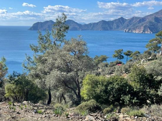 Çandır 20.000m2 2b For Sale With Full Sea View