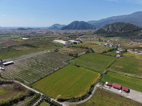 17.550m2 Vineyard-bahce For Sale Close To Dalyan Center