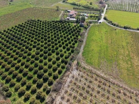 17.550m2 Vineyard-bahce For Sale Close To Dalyan Center