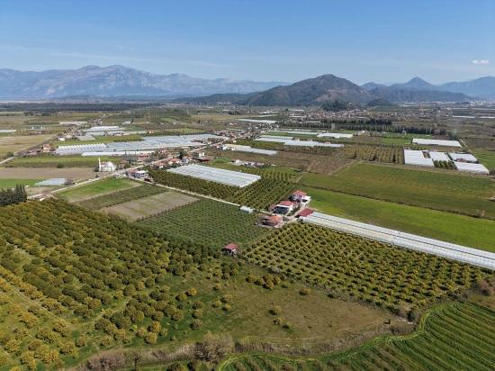 17.550m2 Vineyard-bahce For Sale Close To Dalyan Center