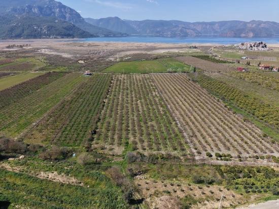 16.710m2 Pomegranate Garden For Sale With Lake View In Eskiköy
