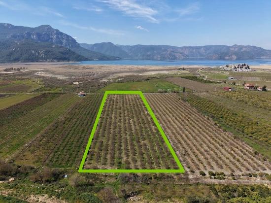 16.710m2 Pomegranate Garden For Sale With Lake View In Eskiköy