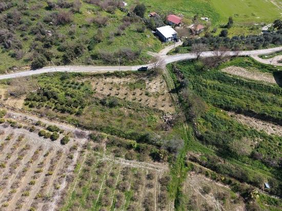 16.710m2 Pomegranate Garden For Sale With Lake View In Eskiköy
