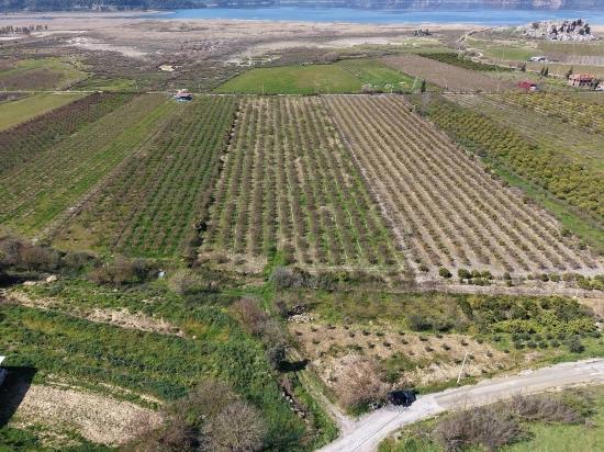 16.710m2 Pomegranate Garden For Sale With Lake View In Eskiköy