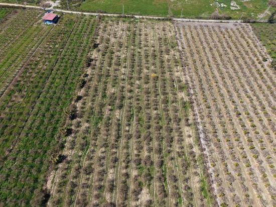 16.710m2 Pomegranate Garden For Sale With Lake View In Eskiköy