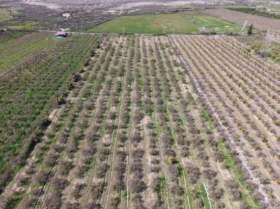 16.710m2 Pomegranate Garden For Sale With Lake View In Eskiköy