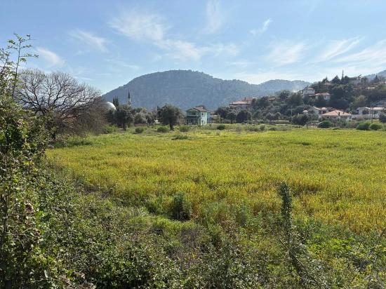 2,023 M² Plot Of Land For Sale In Çandır Village, Köyceğiz, With Shared Ownership And Voluntary Partition.