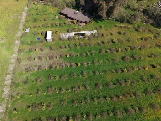 Tourism-oriented Business For Sale On An 11,000 M2 Plot Of Land In Eskiköy.