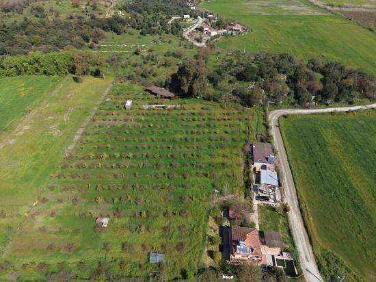 Tourism-oriented Business For Sale On An 11,000 M2 Plot Of Land In Eskiköy.