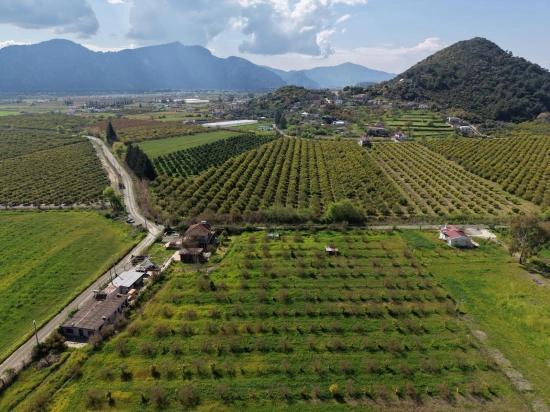 Tourism-oriented Business For Sale On An 11,000 M2 Plot Of Land In Eskiköy.
