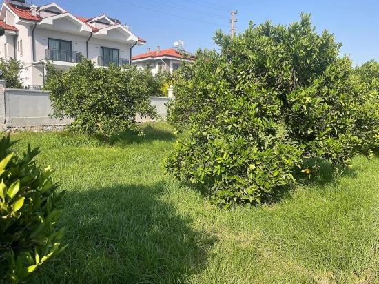 722m2 Land For Sale In Dalyan Gülpınar