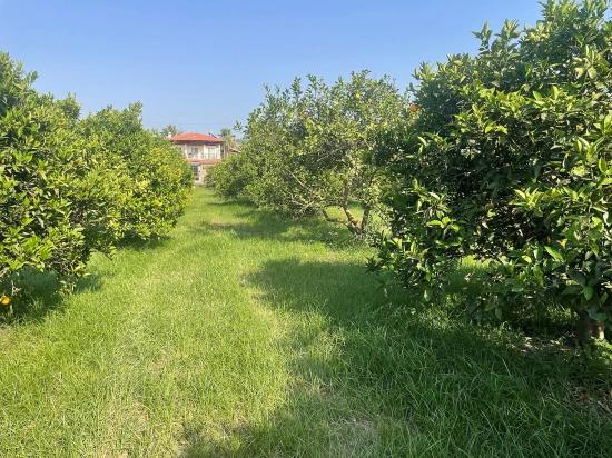 722m2 Land For Sale In Dalyan Gülpınar