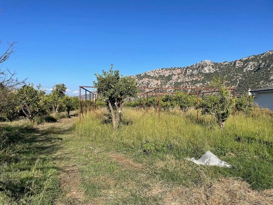 6600m2 Plot Of Land For Sale Near The Center Of Dalyan.