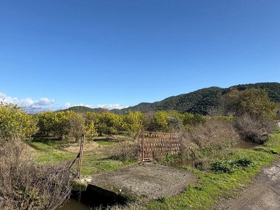 23,000 M² Detached Land For Sale In Tepearası.