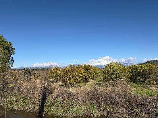 23,000 M² Detached Land For Sale In Tepearası.