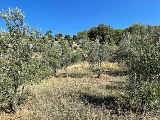 3514m2 Land For Sale With Full Sea View In Gökbel