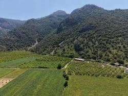 Field For sale in Dalyan Nbh. Ortaca - Field Zoned - 5.100 m²