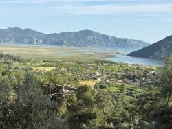 Field For sale in Çandır Nbh. Köyceğiz - Field Zoned - 1.252 m²