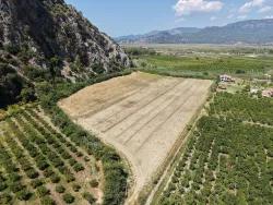 Field For sale in Dalyan Nbh. Ortaca - Field Zoned - 20.786 m²
