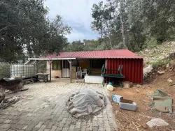 Field For sale in Ekincik Nbh. Köyceğiz - Olive Zoned - 7.000 m²