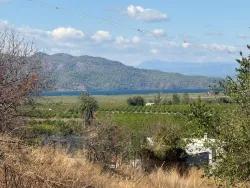 Field For sale in Dalyan Nbh. Ortaca - Field Zoned - 5.000 m²
