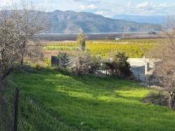 Field For sale in Dalyan Nbh. Ortaca - Field Zoned - 11.230 m²