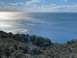 Field For sale in Çandır Nbh. Köyceğiz - Field Zoned - 20.000 m²