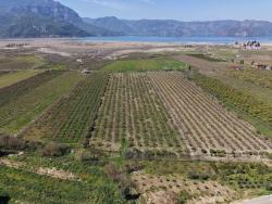 Field For sale in Eskiköy Nbh. Ortaca - Field Zoned - 16.710 m²